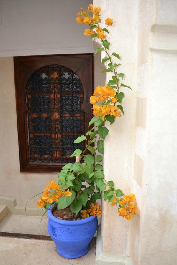 Riad Riva Marrakesh Exterior photo